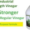 612Oq5FGDL._AC_SL1500_ Natural Elements 30 Percent Vinegar Review Powerful Industrial Strength Cleaner for Home and Garden